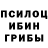 Псилоцибиновые грибы Magic Shrooms Logvynchenko