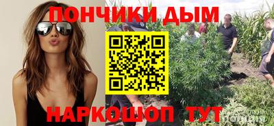 прущие крисы Дубна