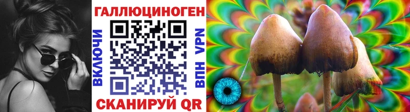 дарк нет телеграм  Мценск  Галлюциногенные грибы Cubensis  купить наркоту  OMG вход 
