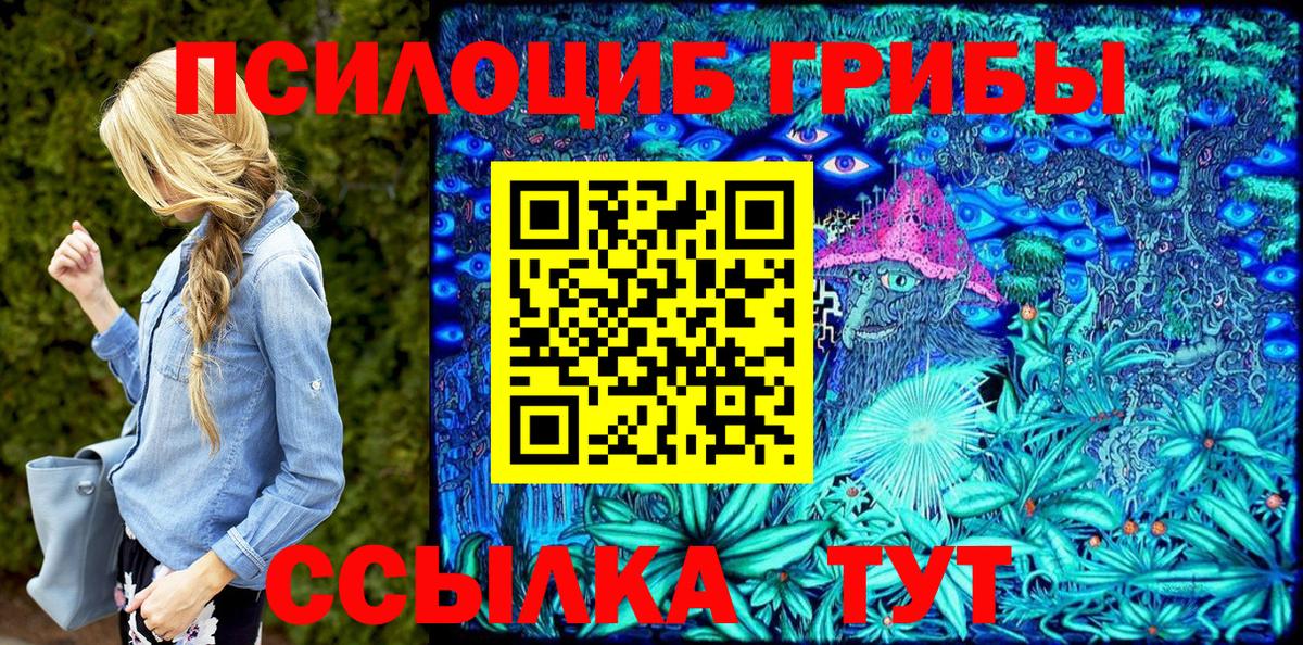 Псилоцибиновые грибы прущие грибы  Вход с VPN  Галлюциногенные грибы MAGIC MUSHROOMS  наркотики  Мценск 