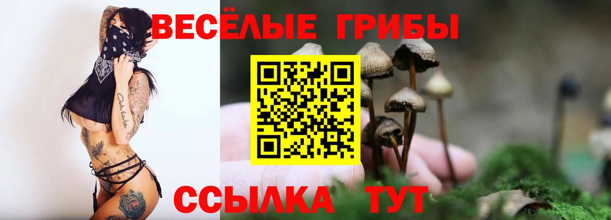 Псилоцибиновые грибы Cubensis Мценск